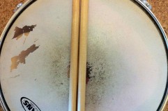 snare drum seattle
